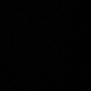 Meet your Posher, Ant